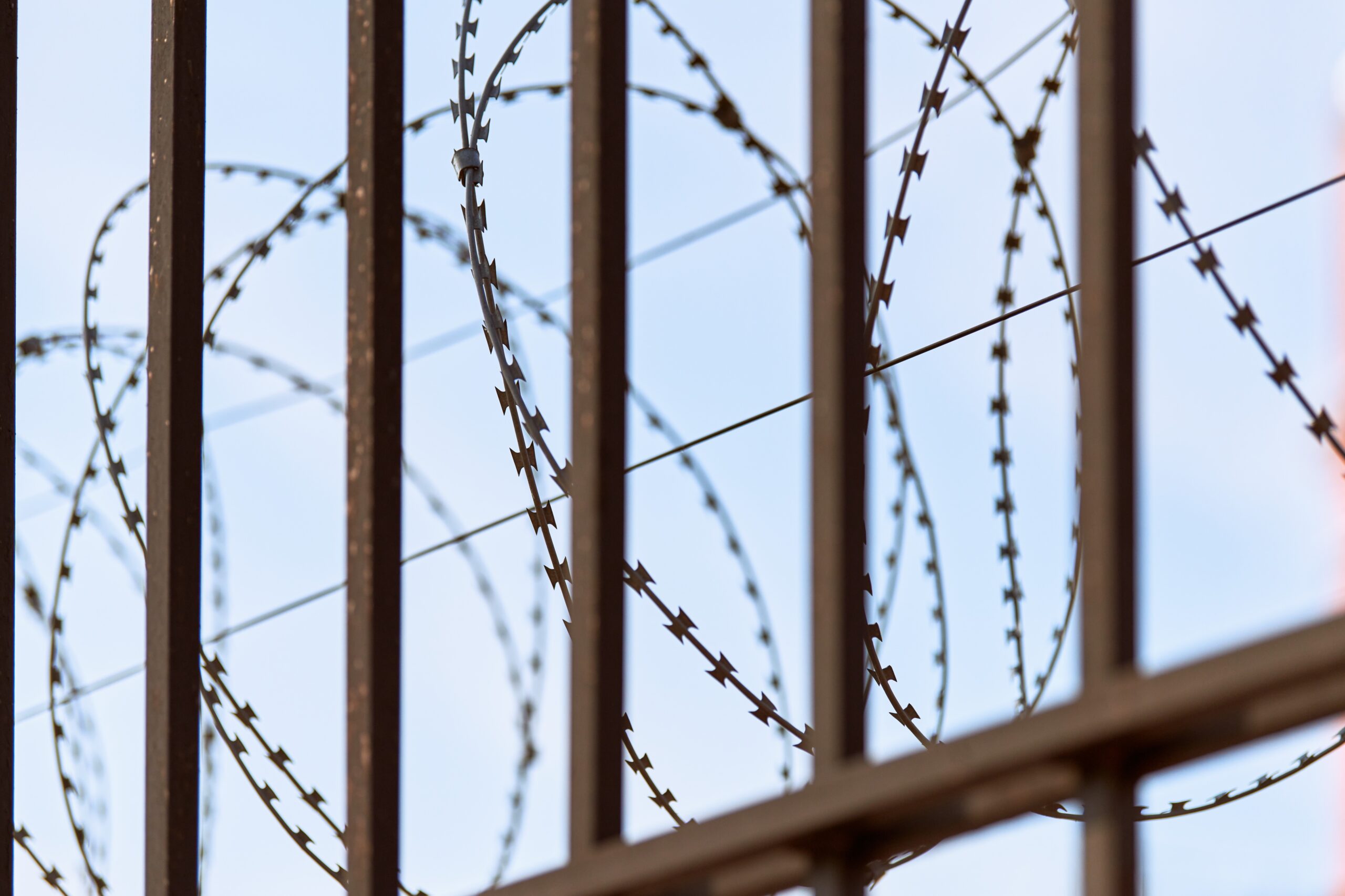 Barbed wire on prison fence